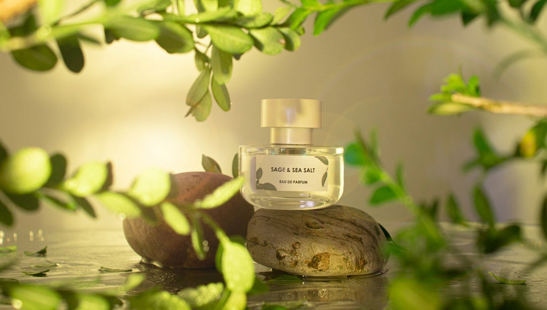 The Ultimate Guide to Eau de Perfume and Eau de Toilette: What You Need to Know