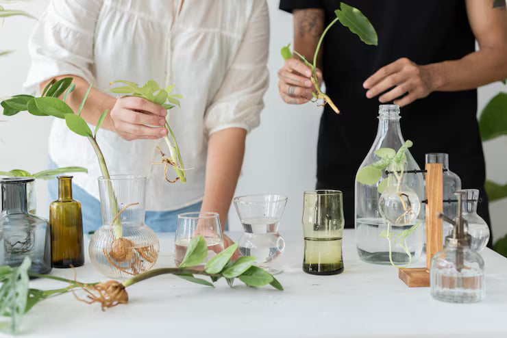 A couple making a natural fragrance